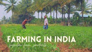 Farming in India  Planting and Harvesting  Agricultural Activities India