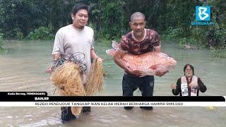 Rezeki penduduk tangkap Ikan Kelah Merah berharga hampir RM4000
