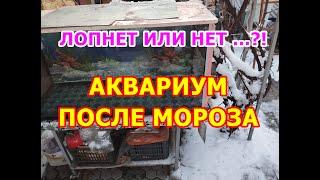 Миф про силикон аквариум после мороза