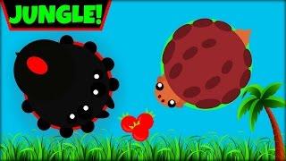 MOPE.IO JUNGLE BIOME  ALL JUNGLE ANIMAL IDEAS  MOPE.IO NEW UPDATEMope.io