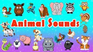 Guess the Animal Sounds  Animal Sounds Song  LittleKidsTV