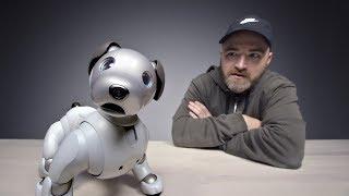 The $3000 Sony Aibo Robot Dog