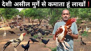 ऐसा शानदार Desi Aseel Murga फॉर्म आपने देखा नहीं होगा  Aseel Murgi Farm  Aseel Poultry Farm