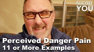 Perceived Danger Pain  - 11 Examples