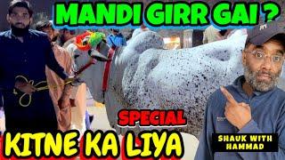 Kitne Ka Liya - SPECIAL - Cow Mandi - Lahore Shahpur Kanjra - Bakra Mandi Pakistan 2024