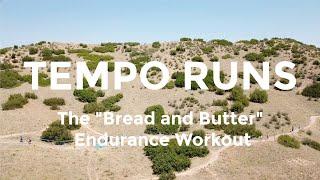 Tempo Runs Examples Pacing and Types of Tempo Workouts