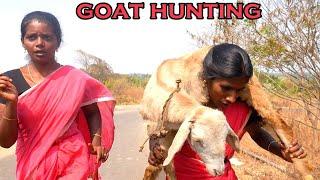 GOAT HUNTING IN VILLAGE  Country Chicken Cooking And Eating with Raw Red Chilli  Village Style