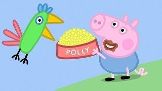 Peppa Pig Full Episodes  Pollys Holiday  Cartoons for Children