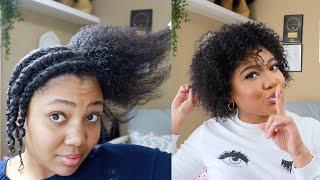 Natural Hair Wash Day Routine  FIRST Twist Out  Lovely Bs Products