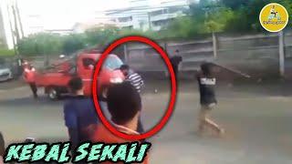 APES  MALING KETAHUAN WARGA DAN DIAMUK