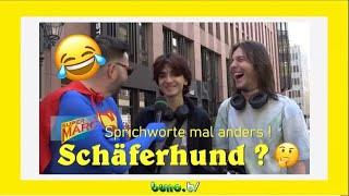 Schäferhund hat Gold im Mund  8.7.2024  SuperMARC #2