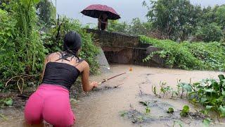 Amazing Fishing  Flood Season Fishing  Girl Fishing