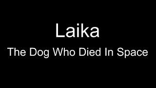 Laika The Dog Who Died In Space