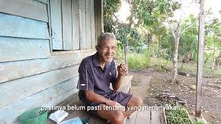 LAHAN MBAH PANUT KABARNYA SUDAH ADA YANG MAU MEMBELI