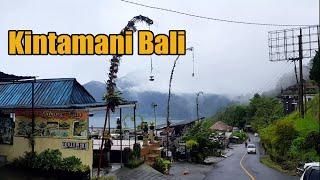 The Road to Kintamani Bali is Really Cool  Unesco Global Geopark Batur Penelokan