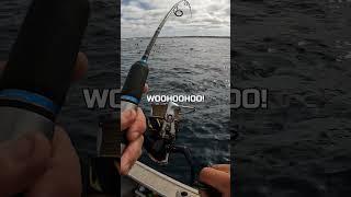 SKIPJACK TUNA CATCH #youtubeshorts #fishing #fishingfood #catchncook #australia #seafood #cooking