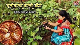 Spicy Brinjal Curry  भरलेली वांगी  Stuffed Baingan Masala  Village Cooking  Red Soil Stories