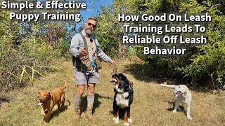 How On Leash Dog Training Leads To Off Leash Reliability When Hiking & Adventuring