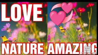 NATURE  AMAZING VIDEOS OF THE WORLD #BestSideRelaxingNatures