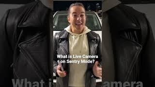 Sentry Mode Live Camera - Cool Tesla Feature