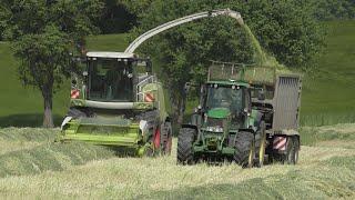 Grünroggen häckseln 2023  Claas Jaguar  Case  John Deere  Steyr