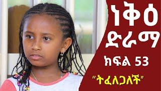 ነቅዕ ድራማ ክፍል 53  Neke Ethiopian Sitcom Drama Part 53