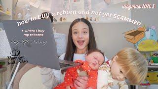 How to Buy a Reborn Doll and NOT Get SCAMMED  Vlogmas WK 1