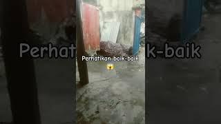 penampakan hantu di rumah #shortsfeed #aldithbz#yearofyou