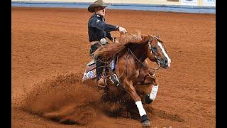 THE BAYER SELECT WORLD CHAMPIONSHIP SHOW FROM AMARILLO TEXAS