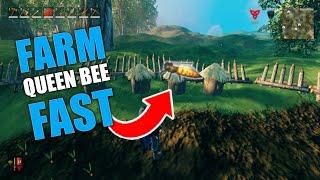 Valheim  How to find Queen Bee as FAST as possible