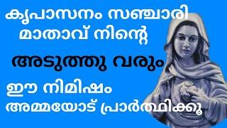 കൃപാസനം മാതാവ് നിന്റെ അടുത്തു വരും Ente Amma kreupasanam  prakthisheekarana prarthana marian