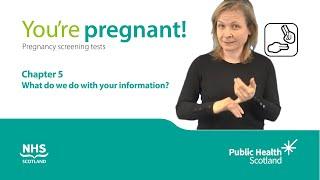 Youre pregnant Scans and tests in pregnancy BSL - Chapter 5