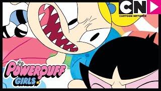 Powerpuff Girls  Buttercup Steals Octi  Cartoon Network