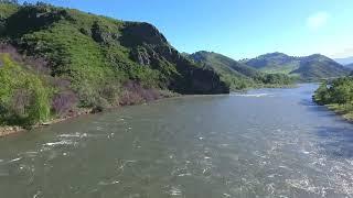 Алтайский край.  Река долины Чарыш. Июль 2023г.   Любимые родные места моего детства.