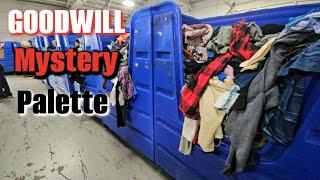 300 Items for ONLY $60   Goodwill Mystery Palette