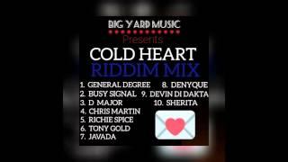 COLD HEART RIDDIM MegaMix BIG YARD MUSIC General Degree Busy Signal Chris Martin