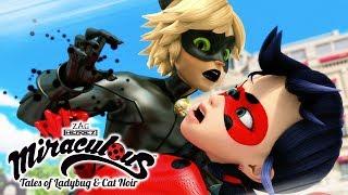 Miraculous Ladybug   Miraculous Mix   Ladybug and Cat Noir  Animation