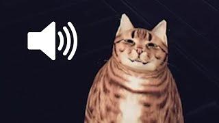 This CAT in DEMONOLOGIST is listening to my microphone