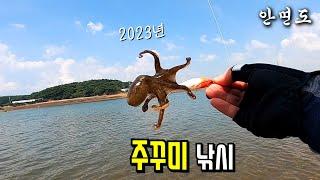 안면도 쭈꾸미 낚시 2023.09.06