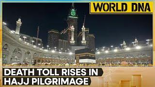 Hajj pilgrimage 2024 1126 pilgrims dead in Saudi heatwave  World DNA  WION