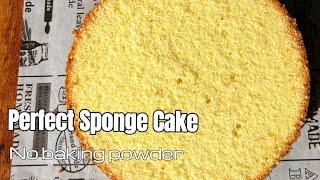 EVERY Detail for Making a Perfect Sponge Cake  Easy Reliable Sponge Cake Recipe