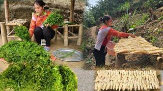 How to preserve bamboo shoots Dry - Harvest wild vegetables to sell