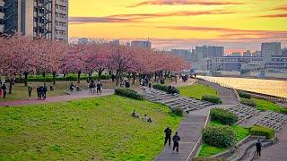 Tokyo Walk in Minami-Senju Japan • 4K HDR