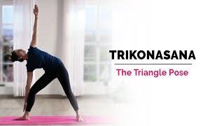 Trikonasana  Triangle Yoga Pose  How to Do Trikonasana?  Steps  Benefits  Yogic Fitness