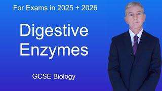 GCSE Biology Revision Digestive Enzymes