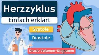 Herzzyklus - Systole Diastole und Druck-Volumen-Diagramm einfach erklärt