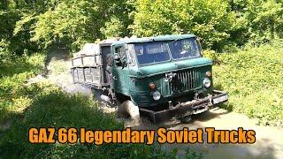 4x4 Soviet Old Trucks GAZ 66 Loading Wood In The Mud