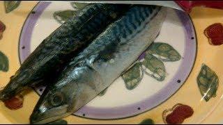 How to Clean a Whole Mackerel Cooking with Kimberly