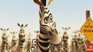 DreamWorks Madagascar em Português  Alex y Marty Clipe de Filme - Madagascar 2  Desenhos Animados