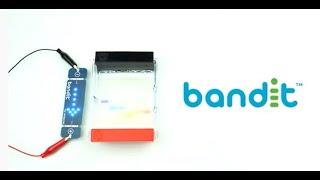 Bandit™ STEM Electrophoresis Kit At a Glance